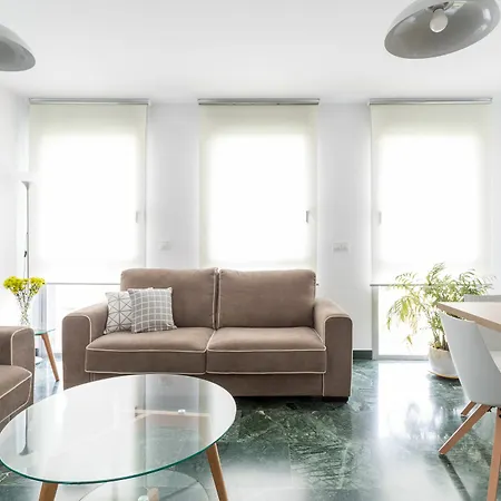 Wallada Centro 公寓